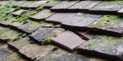 Yanley roof repair costs